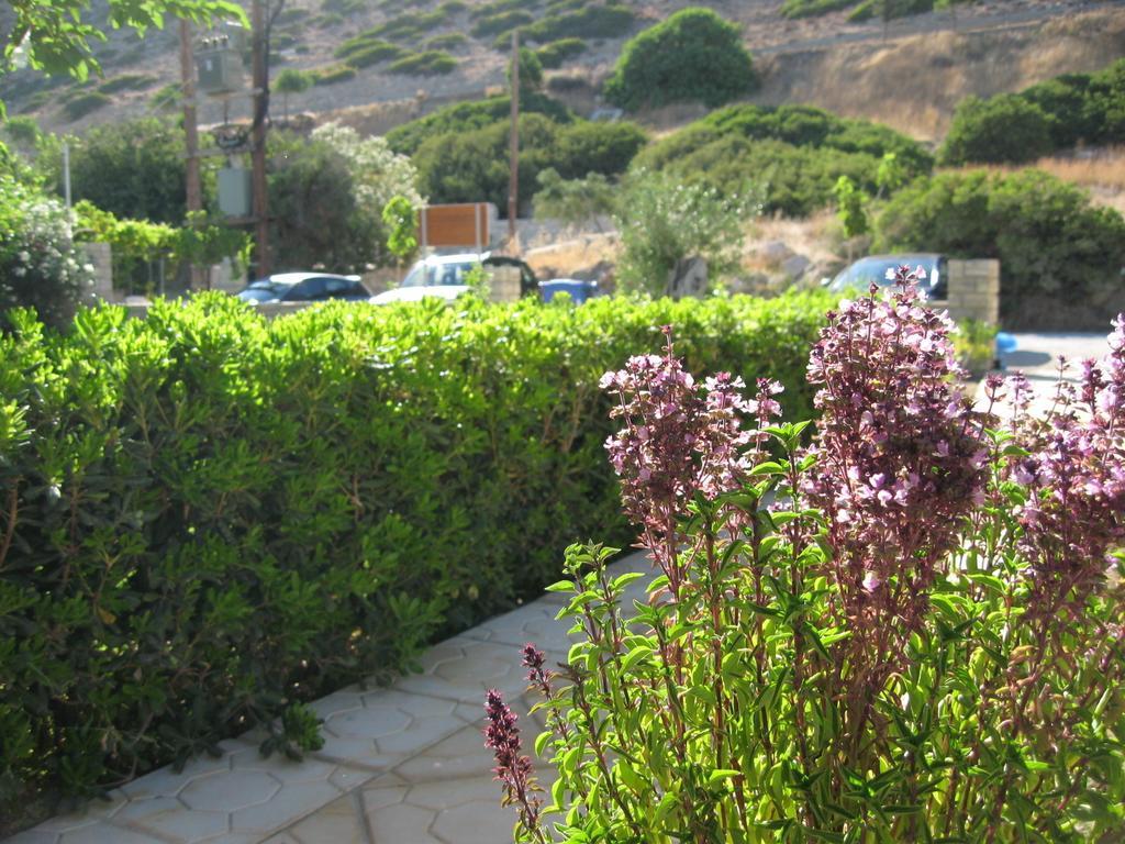 "Villa Kanavos" Apts Matala Quarto foto